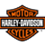 Harley Davidson problems
